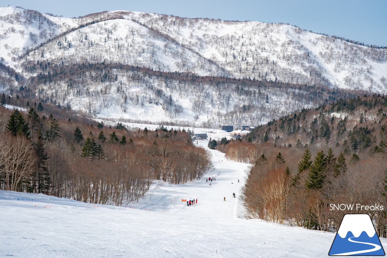 キロロリゾート｜今日の山頂積雪は「340cm」！ビシッと締まったロングコースで快適クルージングが楽しい１日♪